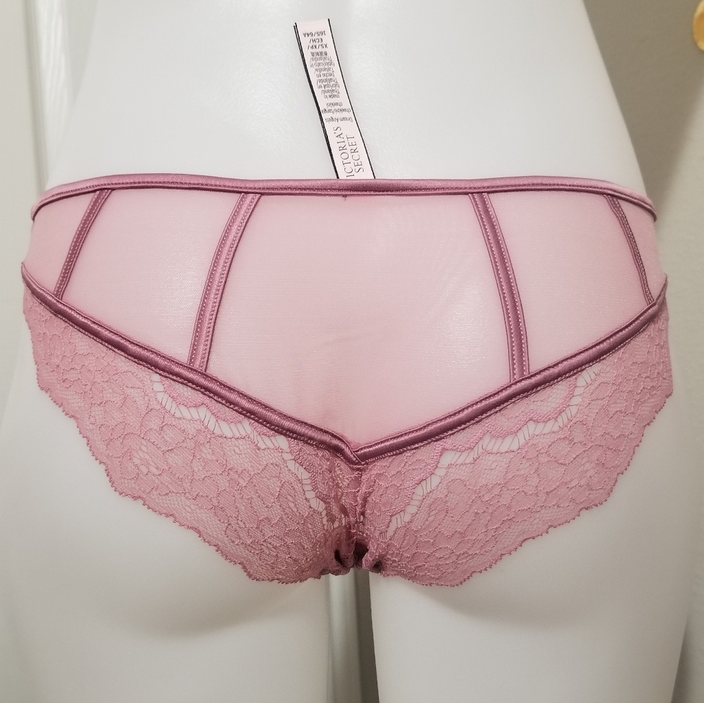 VS Dream Angels Rose Lace & Mesh Cheekini NWT - Picture 7 of 10